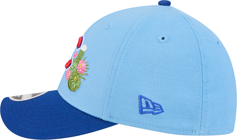 Chicago Cubs New Era 2026 Spring Training M-Crown 39Thirty Player Replica Blue Flex Fit Hat Official Team Hat Sports Fan Cap Official NFL Team Hat