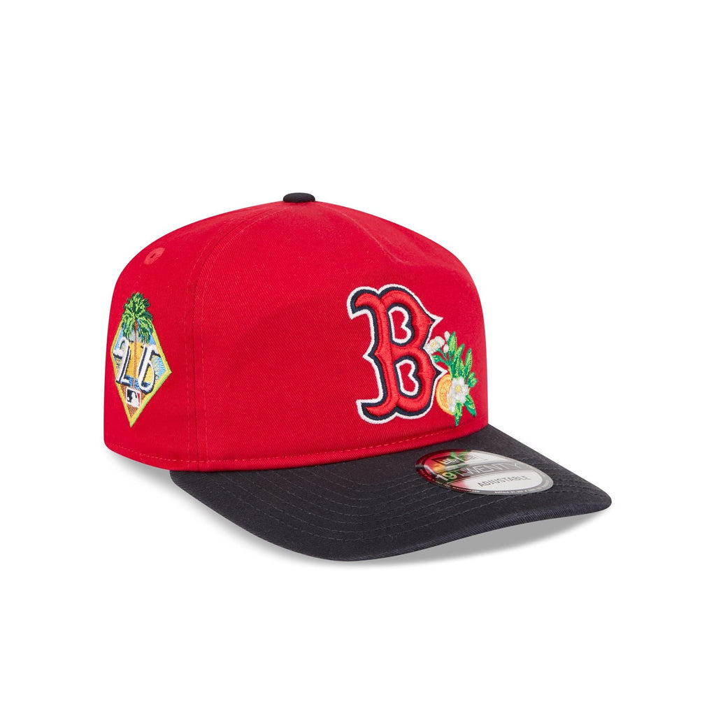 Boston Red Sox MLB 19Twenty Spring Training New Era Red Navy Official Team Hat Sports Fan Cap Official NFL Team Hat Football Fan Cap