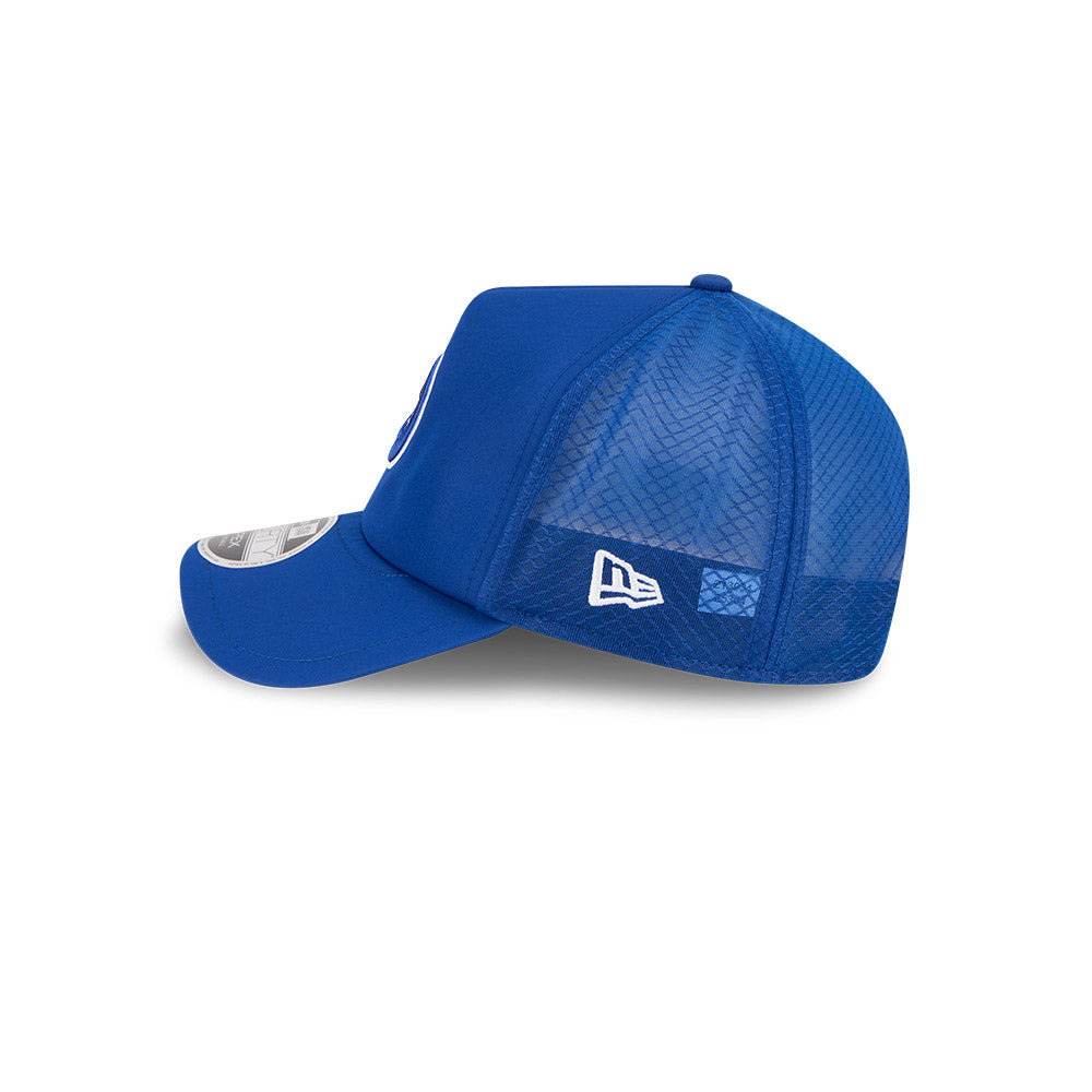Chicago Cubs New Era 2026 Batting Practice 9Forty APEX Bullseye Logo Snap Adjustable Hat-Royal Official Team Hat Sports Fan Cap Official NFL Team Hat