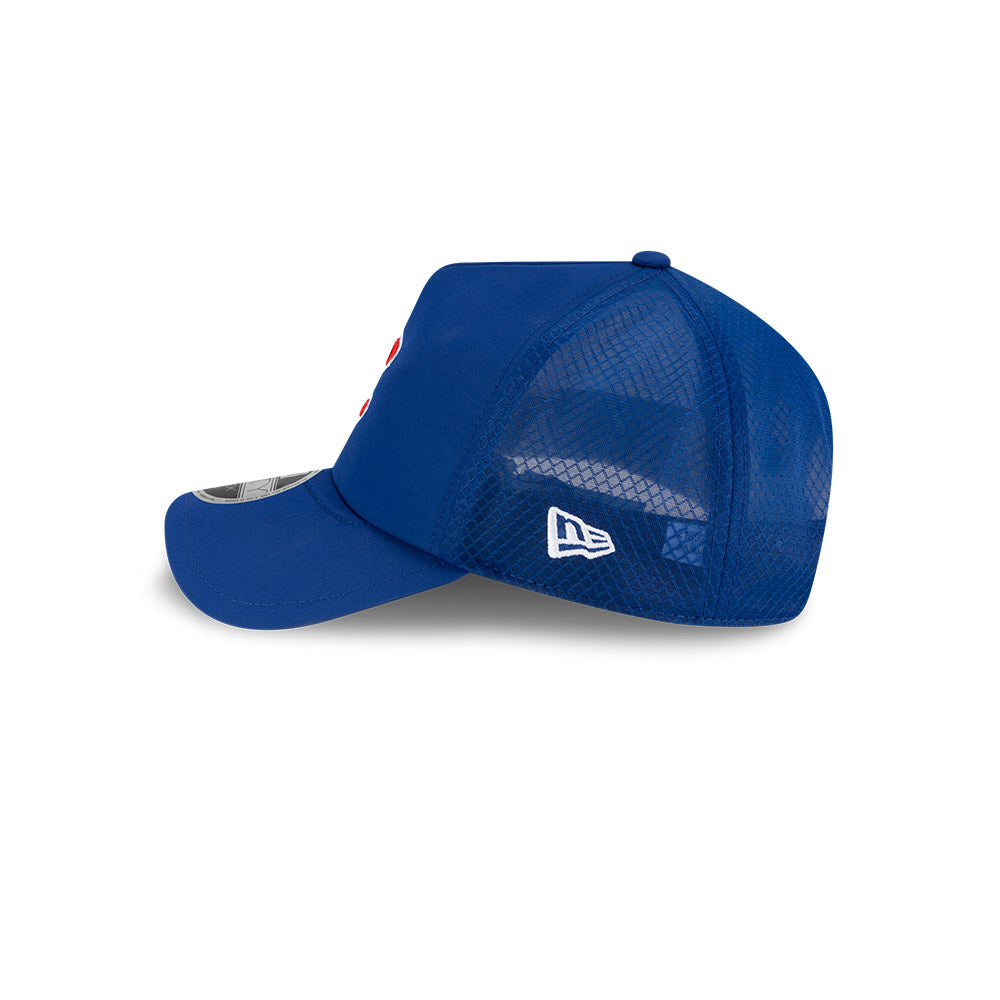 Chicago Cubs New Era 2026 Batting Practice 9Forty APEX C Logo Snap Adjustable Hat-Royal Official Team Hat Sports Fan Cap Official NFL Team Hat