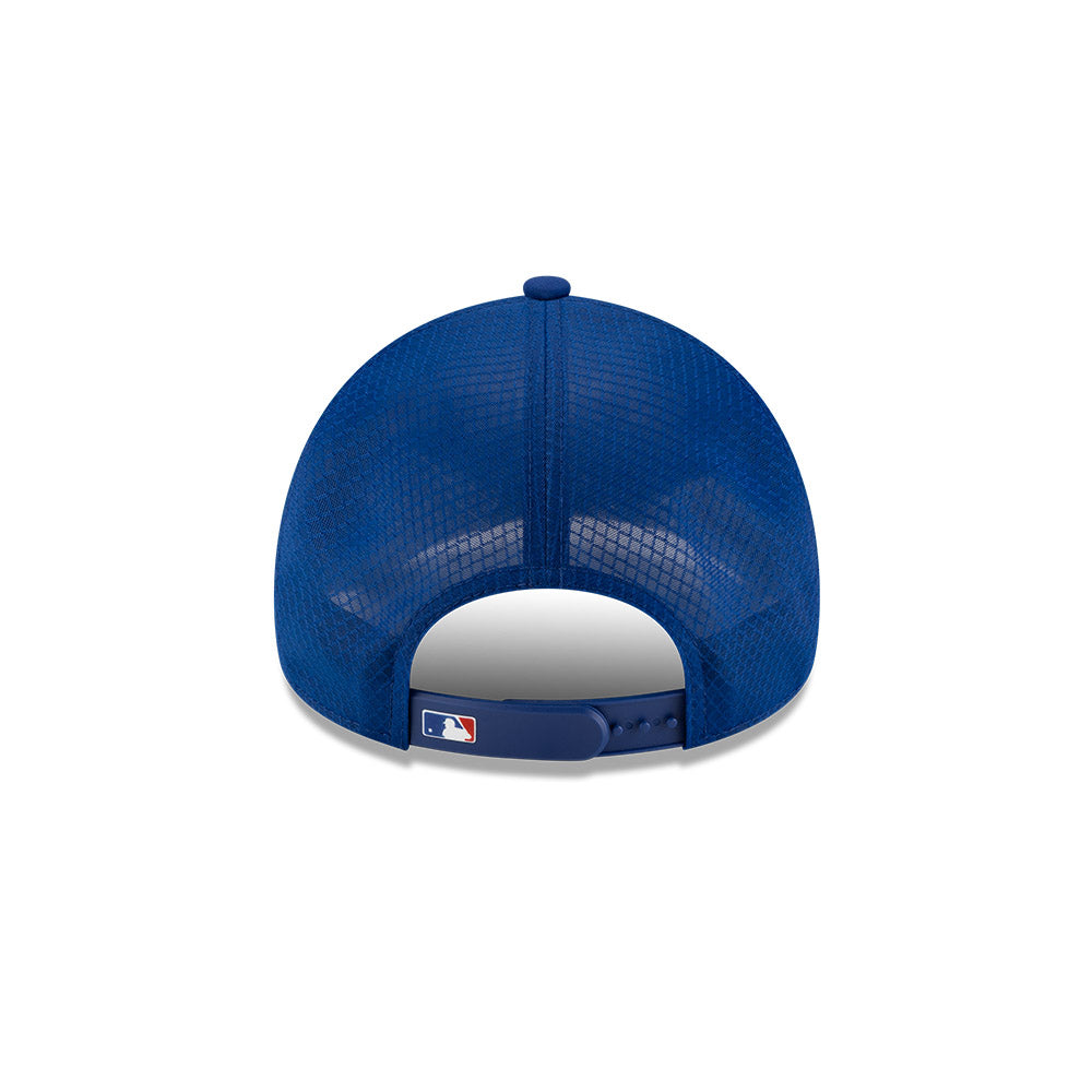 Chicago Cubs New Era 2026 Batting Practice 9Forty APEX C Logo Snap Adjustable Hat-Royal Official Team Hat Sports Fan Cap Official NFL Team Hat