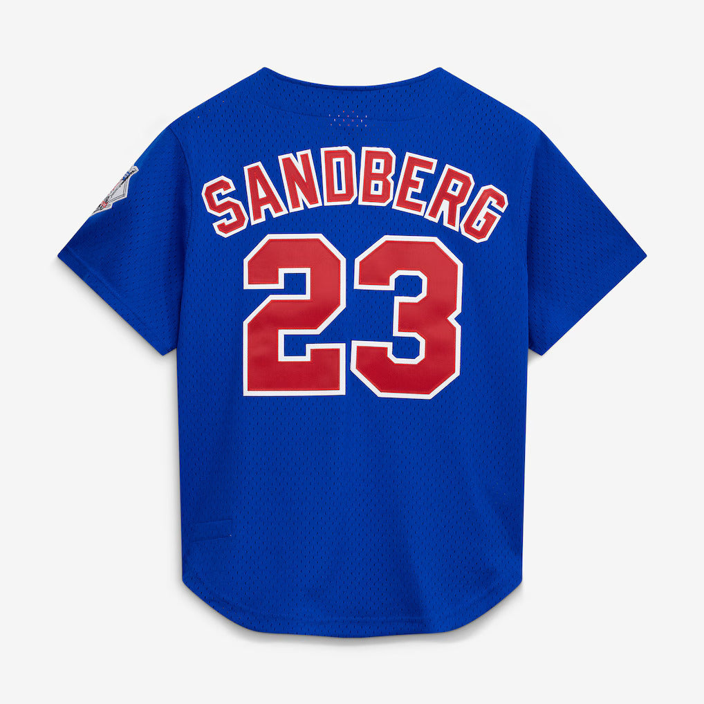 Mitchell And Ness Ryne Sandberg Chicago Cubs 1997 Authentic BP Button Down Jersey Official Team Jersey Sports Fan Apparel Official NFL Team Jersey