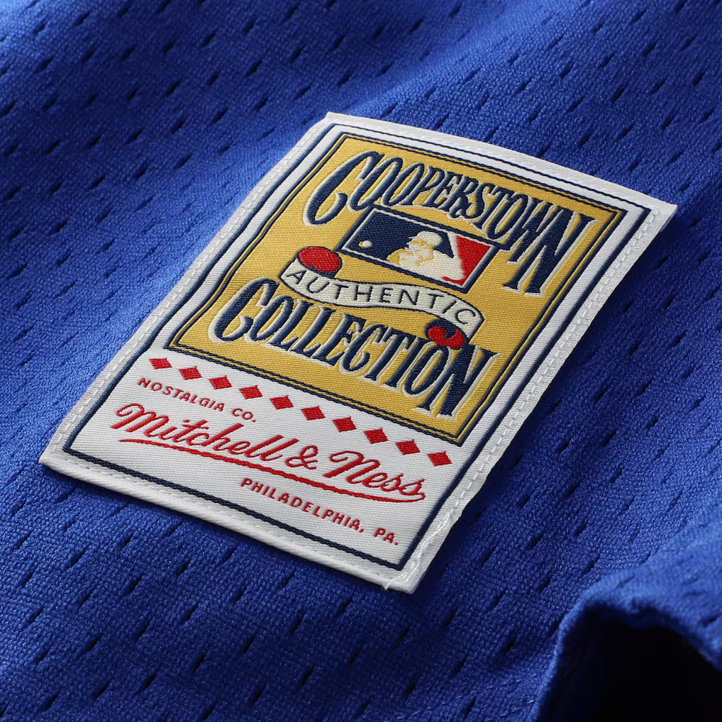 Mitchell And Ness Ryne Sandberg Chicago Cubs 1997 Authentic BP Button Down Jersey Official Team Jersey Sports Fan Apparel Official NFL Team Jersey